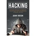 Hacking: Computer Hacking for beginners, how to hack, and understanding computer security!