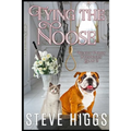Tying the Noose: Felicity Philips Investigates Book 2