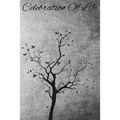 Celebration Of Life: Funeral Sign In Book For Loved Ones To Sign During A Funeral