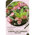 Crown of Thorns Plant: Plant Guide