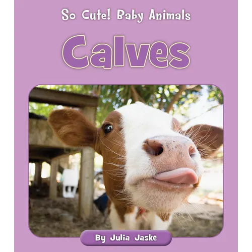 Calves