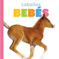 Caballos Bebés