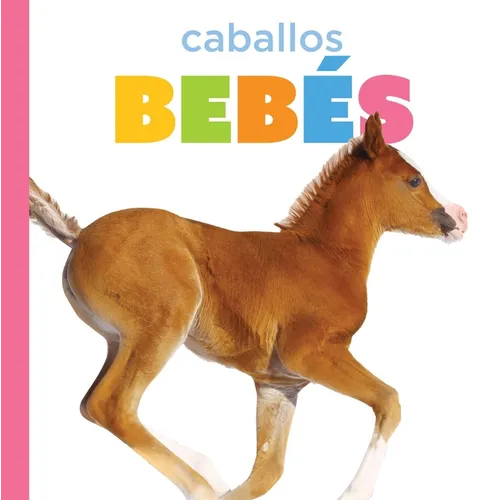 Caballos Bebés