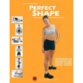 Perfect Shape: Through Dynamic System