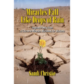 Miracles Fall Like Drops of Rain: Inspired poetry from A Course in Miracles Workbook for Students