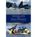 Whales and Dolphins: Cognition, Culture, Conservation and Human Perceptions