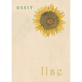 Ilse