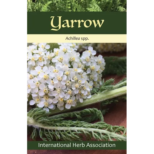 Yarrow: Herb of the Year(TM) 2024