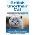 British Shorthair Cat: From bringing your kitten home to comforting your senior age beloved companion