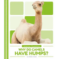 Why Do Camels Have Humps?