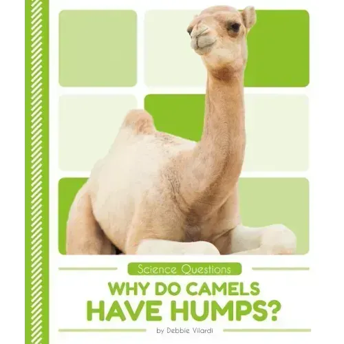 Why Do Camels Have Humps?