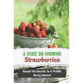 A Guide On Growing Strawberries: Reveal The Secrets To A Prolific Berry Harvest