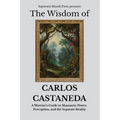The Wisdom of Carlos Castaneda: A Warrior's Guide to Shamanic Power, Perception, and the Separate Reality