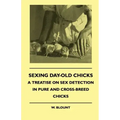 Sexing Day-Old Chicks - A Treatise on Sex Detection in Pure and Cross-Breed Chicks