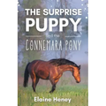 The Surprise Puppy and the Connemara Pony - The Coral Cove Horses Series