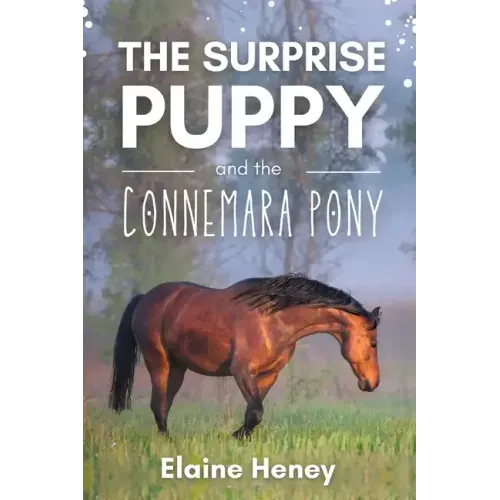 The Surprise Puppy and the Connemara Pony - The Coral Cove Horses Series
