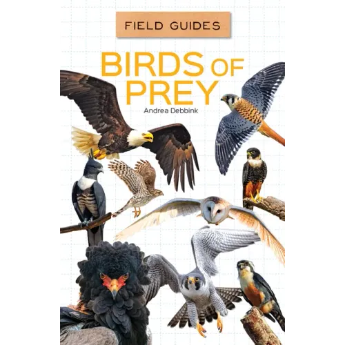 Birds of Prey
