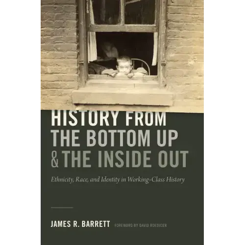 History from the Bottom Up and the Inside Out: Ethnicity, Race, and Identity in Working-Class History