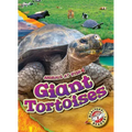 Giant Tortoises