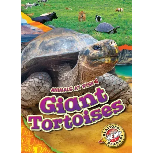 Giant Tortoises