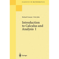 Introduction to Calculus and Analysis I