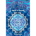 Divine Tie Dyes Made in Minutes: For Ages 8-80