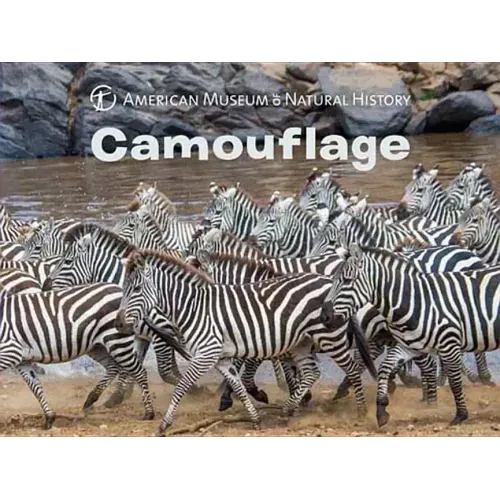 Camouflage