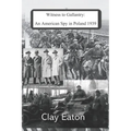 Witness to Gallantry: An American Spy in Poland 1939