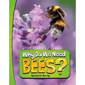 Why Do We Need Bees?
