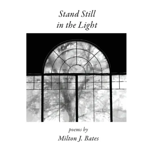 Stand Still in the Light
