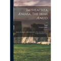 Imtheachta Æniasa. The Irish Æneid; Being a Translation, Made Before A.D. 1400, of the XII Books of Vergil's Ænid Into Gaelic; v.6