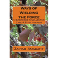 Ways of Wielding the Force: 13 Exercises in Collective Care & Effectiveness