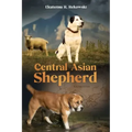 Central Asian Shepherd