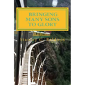 Bringing Many Sons to Glory: How Your Journey Will End