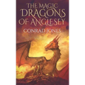 The Magic Dragons of Anglesey: The Rock Goblins