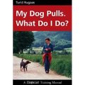 My Dog Pulls. What Do I Do?