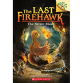 The Secret Maze: A Branches Book (the Last Firehawk #10): Volume 10