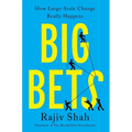 Big Bets: How Large-Scale Change Really Happens