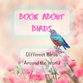 Bird Attraction - Book About Birds - Habitats - Feeding - Different Birds Around the World