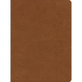 CSB He Reads Truth Bible, Saddle Leathertouch, Indexed