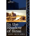 In the Shadow of Sinai: A Story of Travel and Research from 1895 to 1897