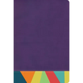 Rvr 1960 Biblia de Estudio Arcoiris, Morado/Multicolor