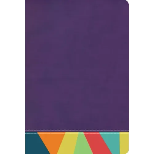 Rvr 1960 Biblia de Estudio Arcoiris, Morado/Multicolor