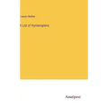 A List of Hymenoptera