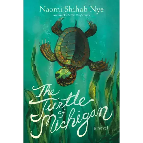 The Turtle of Michigan
