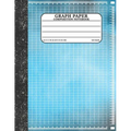 Graph Paper Composition Notebook: Math and Science Lover Graph Paper Cover (Quad Ruled 5 squares per inch, 100 pages) Birthday Gifts For Math Lover Te