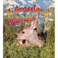 A Grassland Habitat
