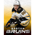 Boston Bruins