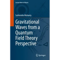Gravitational Waves from a Quantum Field Theory Perspective