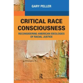 Critical Race Consciousness: The Puzzle of Representation